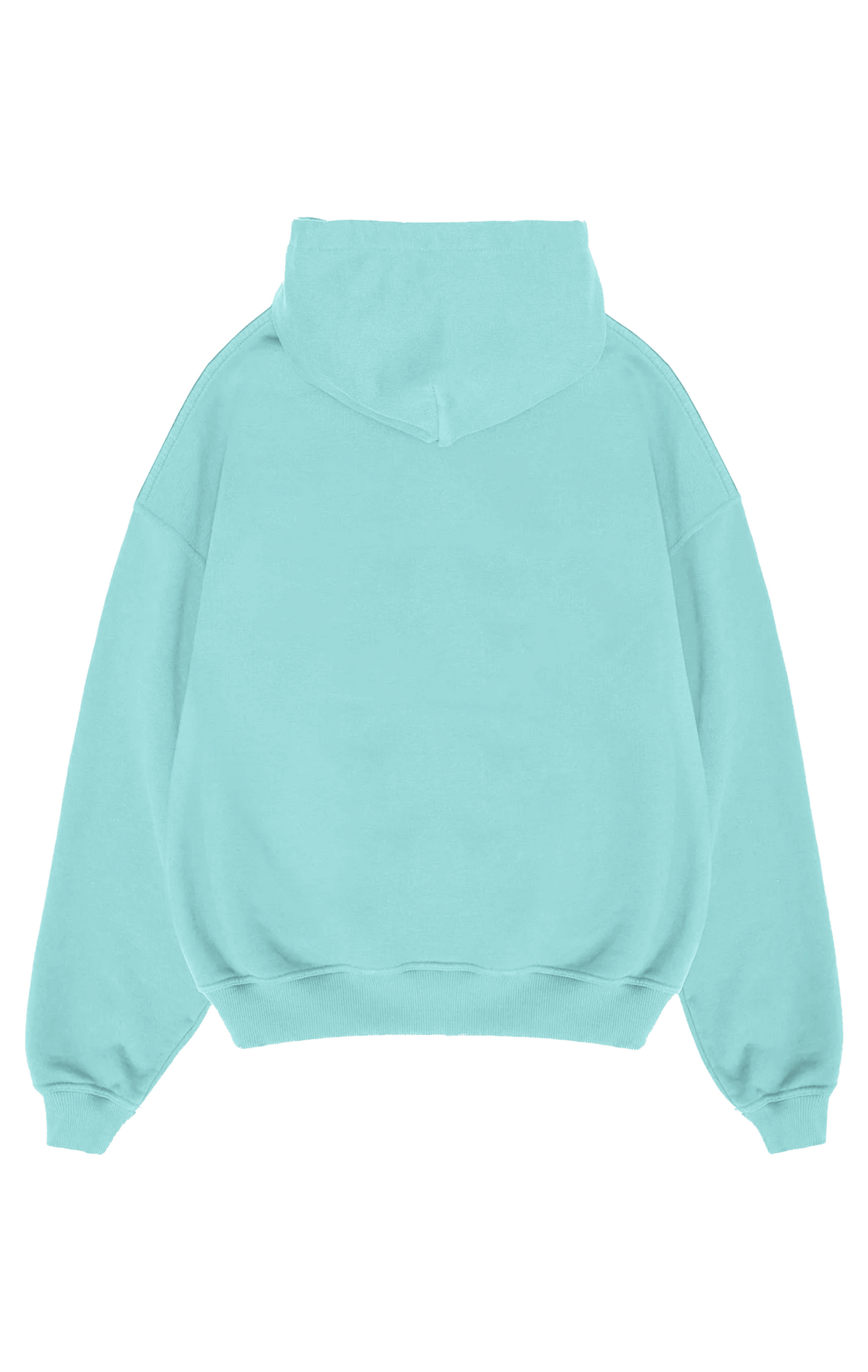 450 GSM BLANK HOODIE - MINT